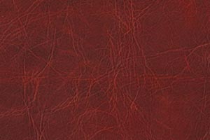 Distressed Blaze Buffalo Leather Swatch