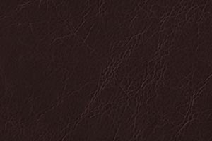 Distressed Java Buffalo Leather Swatch