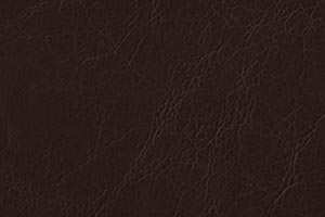 Distressed Java Buffalo Leather Swatch