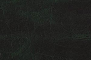Luxe Jade Buffalo Leather Swatch