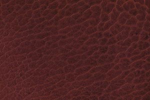 Mountain Cognac Buffalo Leather Swatch