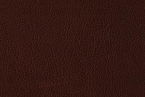 Ranch Java Buffalo Leather Swatch