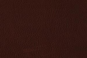 Ranch Java Buffalo Leather Swatch