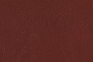 Ranch Mesquite Buffalo Leather Swatch