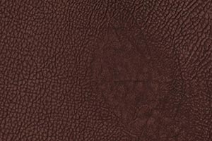 Ranch Navajo Mocha Buffalo Leather Swatch