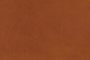 Ranch Saddle Buffalo Leather Swatch