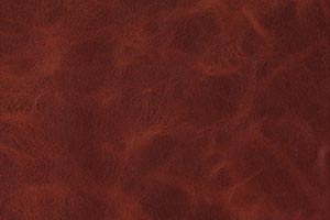 Ranch Tobacco Buffalo Leather Swatch