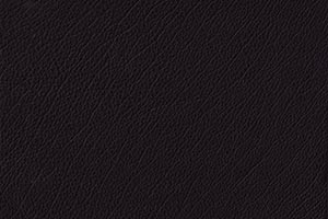Black Buffalo Leather Swatch