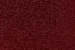 Cardinal Red Buffalo Leather Swatch