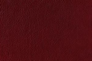 Cardinal Red Buffalo Leather Swatch