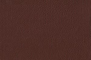 Chocolate Buffalo Leather Swatch