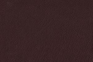 Cocoa Buffalo Leather Swatch