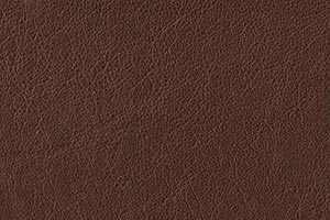 Coffee Buffalo Leather Swatch
