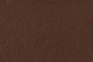 Coffee Buffalo Leather Swatch