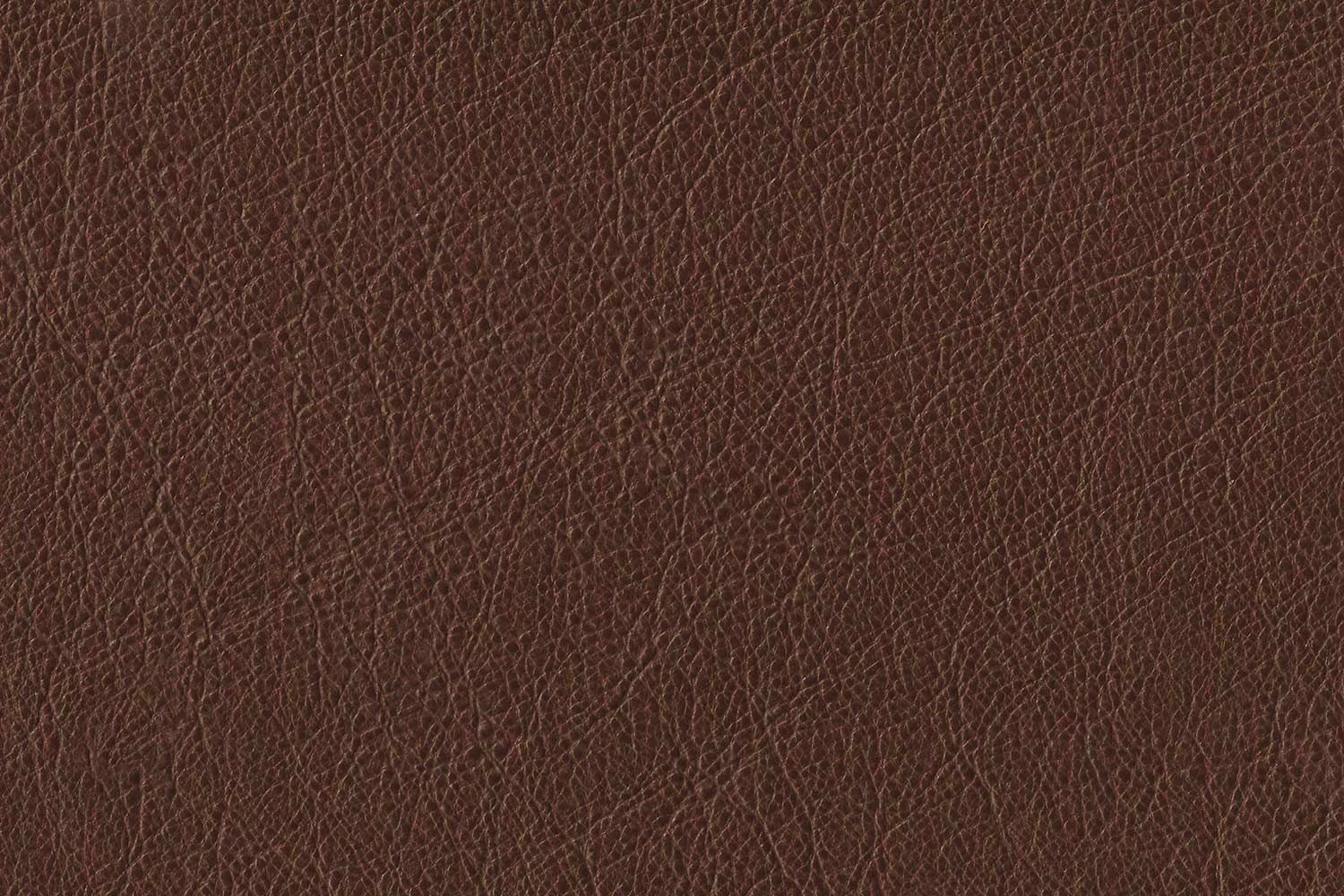 Wanderings Assorted Colors Leather Scraps for Leather Crafts – 3lbs Mixed Sizes, Shapes with 36 Cord - Full Grain Buffalo Leather Remnants from Journal Making