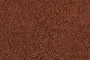 Cognac Buffalo Leather Swatch