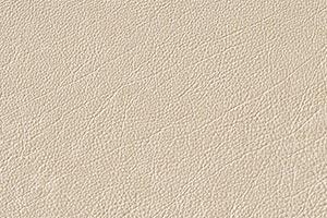 Creme Buffalo Leather Swatch