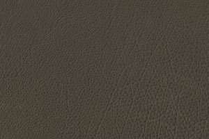 Sage Buffalo Leather Swatch