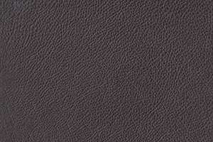 Slate Buffalo Leather Swatch