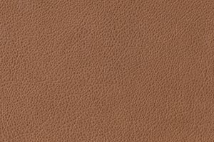 Tan Buffalo Leather Swatch